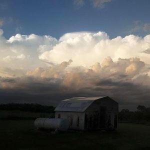 Meet your Posher, Mikey